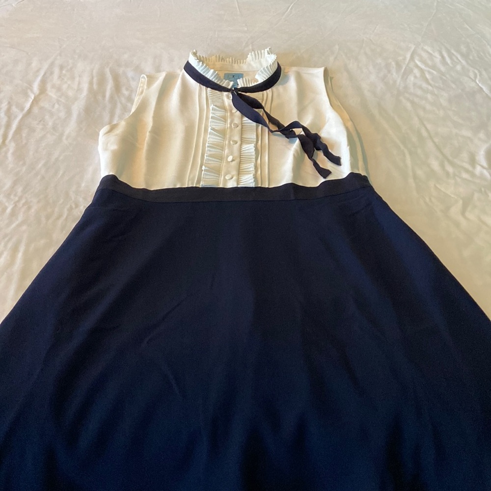 BNWT Cece dress